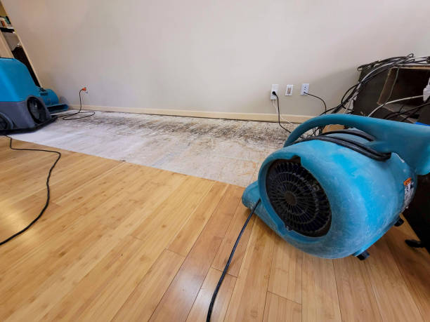 Professional Sewage Cleanup technician working in Curtice, OH